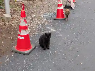 息栖神社(茨城県)