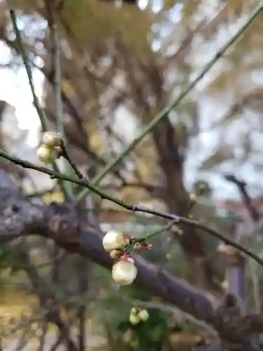 成子天神社の自然