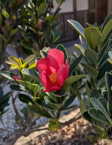 横浜　西方寺(神奈川県)