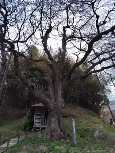 延命地蔵尊(福島県)