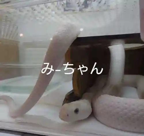 清荒神清澄寺(兵庫県)