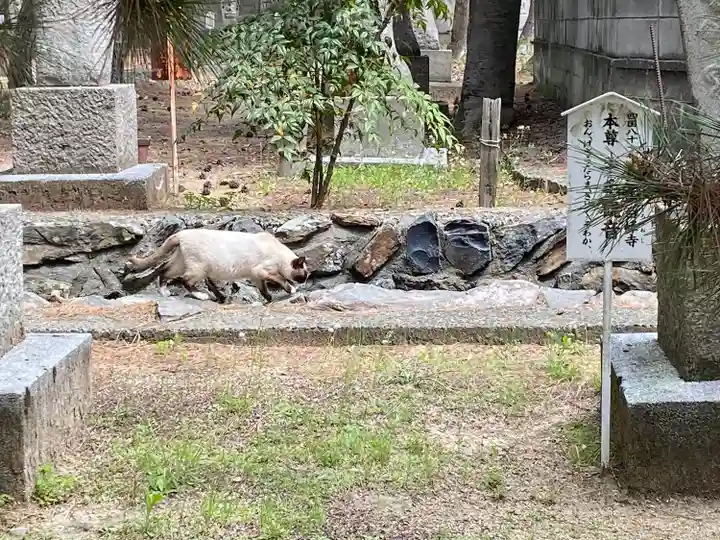 讃岐國分寺(香川県)