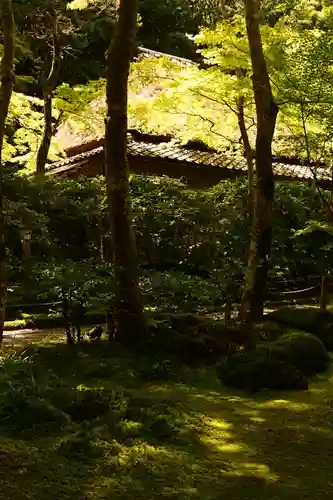 祇王寺(京都府)