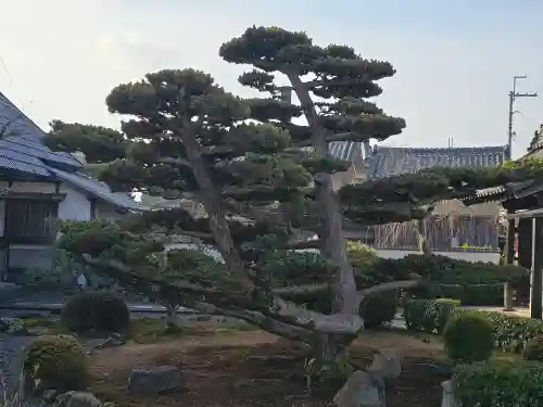 三恵院(京都府)