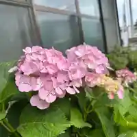 豊景神社(福島県)