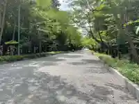 北海道神宮の景色