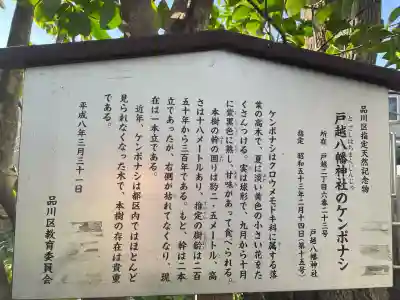 戸越八幡神社(東京都)