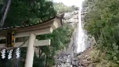 飛瀧神社（熊野那智大社別宮）の自然