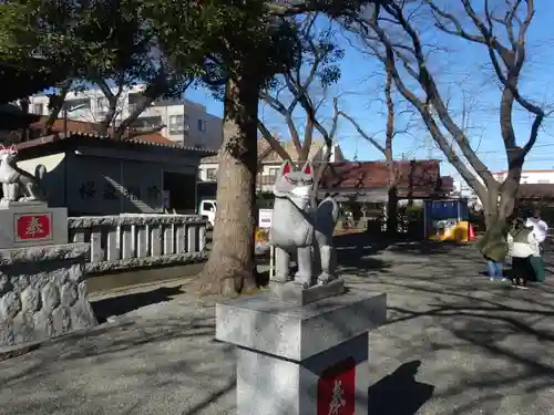 桜森稲荷神社の狛犬