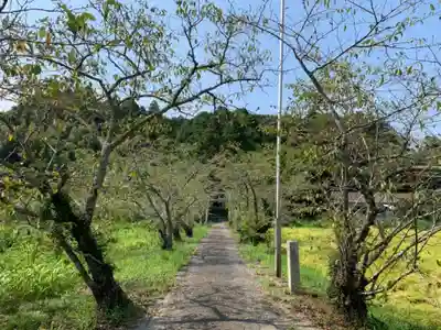長谷神社のその他建物