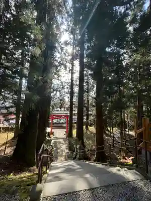 須山浅間神社の鳥居
