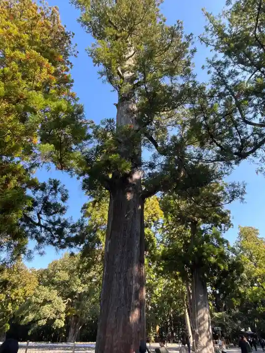伊勢神宮外宮(豊受大神宮)(三重県)