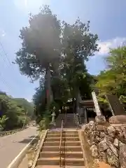 熊野神社(埼玉県)