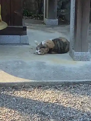 玉野御嶽神社の動物