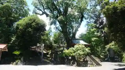 鹿児島神宮(鹿児島県)