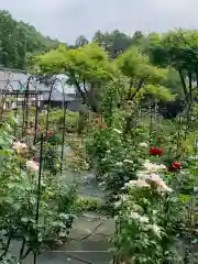 大安禅寺の庭園