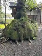 伊雜宮（皇大神宮別宮）(三重県)