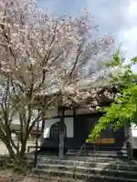 金剛寺の本殿・本堂