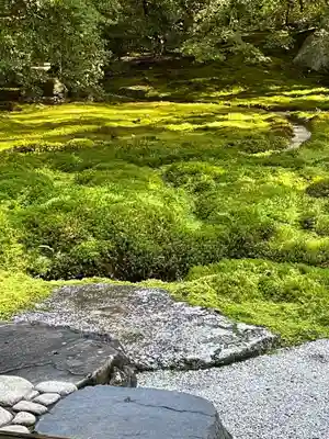 光明寺瑠璃光院(京都府)