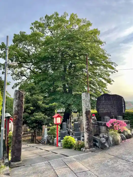 長生院(神奈川県)