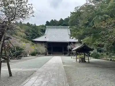 妙本寺(神奈川県)