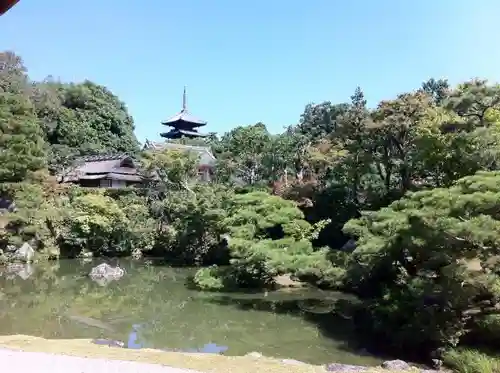 仁和寺の庭園