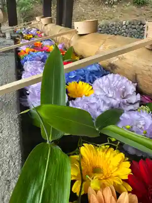 群馬県護国神社(群馬県)
