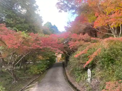 円通寺(兵庫県)