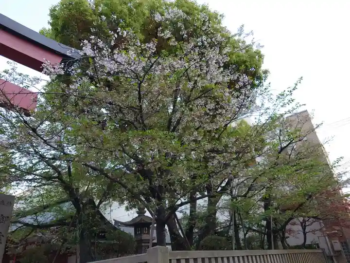 御霊神社(大阪府)