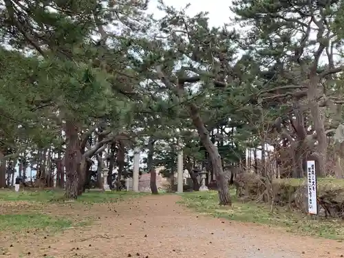 函館護國神社の鳥居