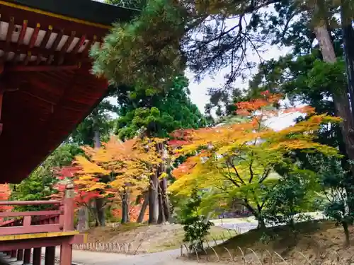 毛越寺の自然