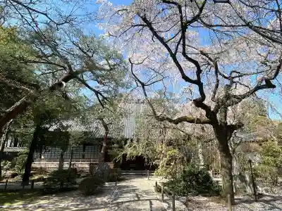 中院の{uncategorized: "未分類", other: "その他", undefined: "問題あり", building: "その他建物", grave: "お墓", sacred_gate: "鳥居", guardian: "狛犬", statue: "像", buddha: "仏像", history: "歴史", nature: "自然", garden: "庭園", animal: "動物", pagoda: "塔", temizu: "手水舎", mountain_gate: "山門・神門", sanctuary: "本殿・本堂", subordinate: "末社・摂社", art: "芸術", scenery: "景色", jizo: "地蔵", ema: "絵馬", goshuin: "御朱印", omikuji: "おみくじ", items: "授与品その他", amulet: "お守り", goshuincho: "御朱印帳", eats: "食事", festival: "お祭り", votive_dance: "神楽", shichigosan: "七五三参", wedding: "結婚式", experience: "体験その他", initially: "初詣", around: "周辺", anti_infection: "感染症対策"}