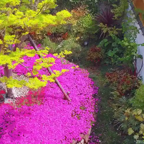 寿量山　速成寺(奈良県)