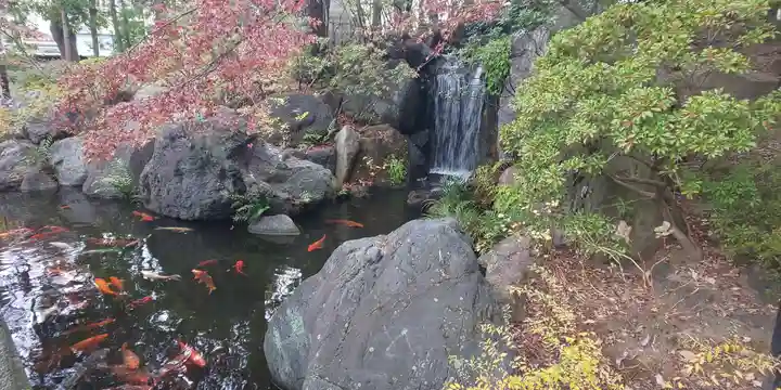 西新井大師総持寺の庭園