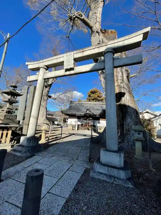 科野大宮社(長野県)