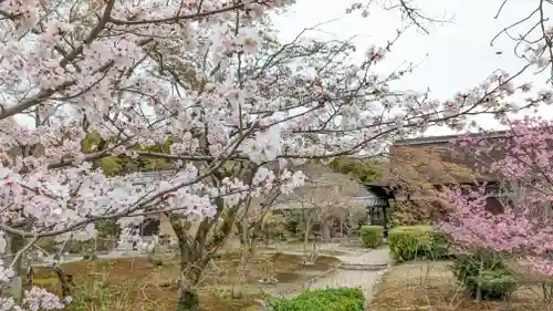 勧修寺(京都府)