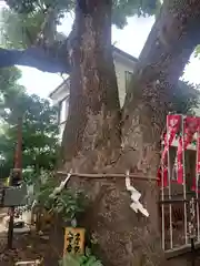 笠䅣稲荷神社(神奈川県)