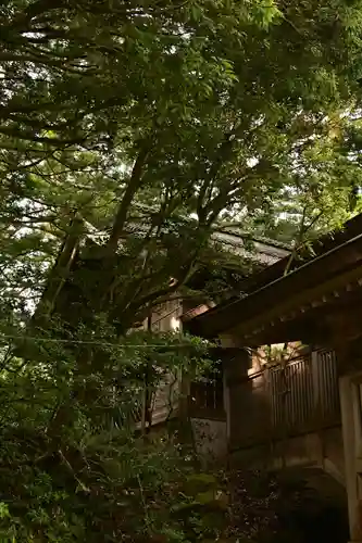 八幡宮(富山県)