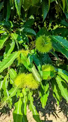 七百餘所神社 の周辺