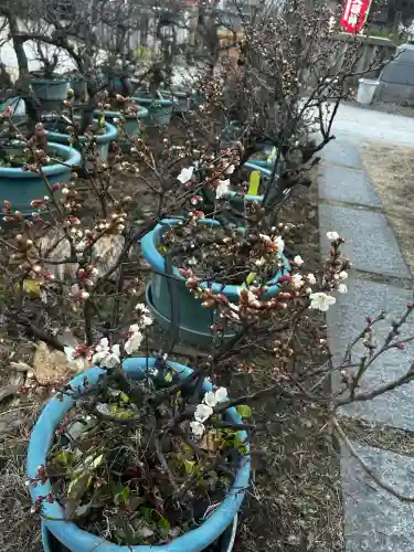 蒲田神社(大阪府)