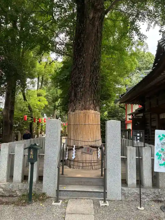 田無神社(東京都)