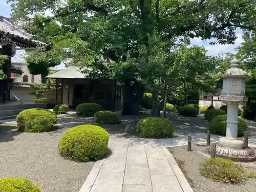薬師院(神奈川県)
