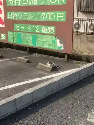 日吉神社の動物