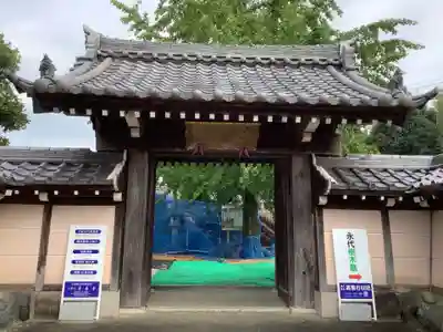 養善寺(愛知県)