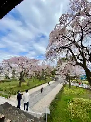 東郷寺(東京都)
