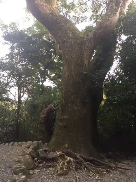 葭原神社(皇大神宮末社)の自然