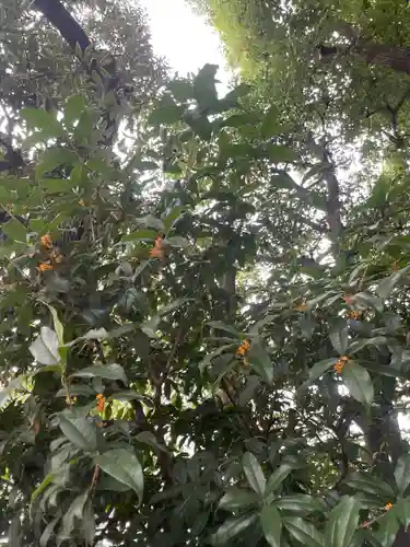 大鳥神社の自然