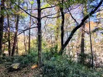 大宮神社(東京都)