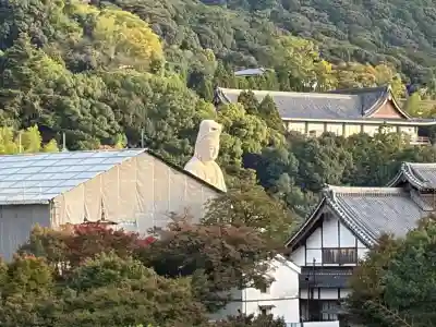 大雲院(京都府)