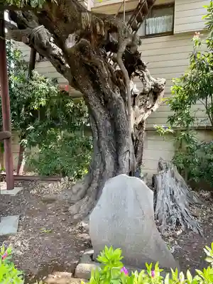 延命院(東京都)